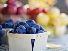 日常食物的知识